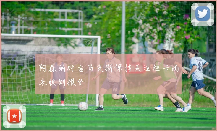 阿森纳对吉马良斯保持关注纽卡尚未收到报价